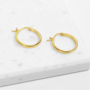 Small Hoop Earrings (Gold)