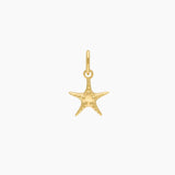 Roma Charm Collection Pendants Gold Roma Starfish Charm (Gold)
