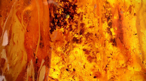 7 Spiritual Amber Properties for the Self-Loving Woman
