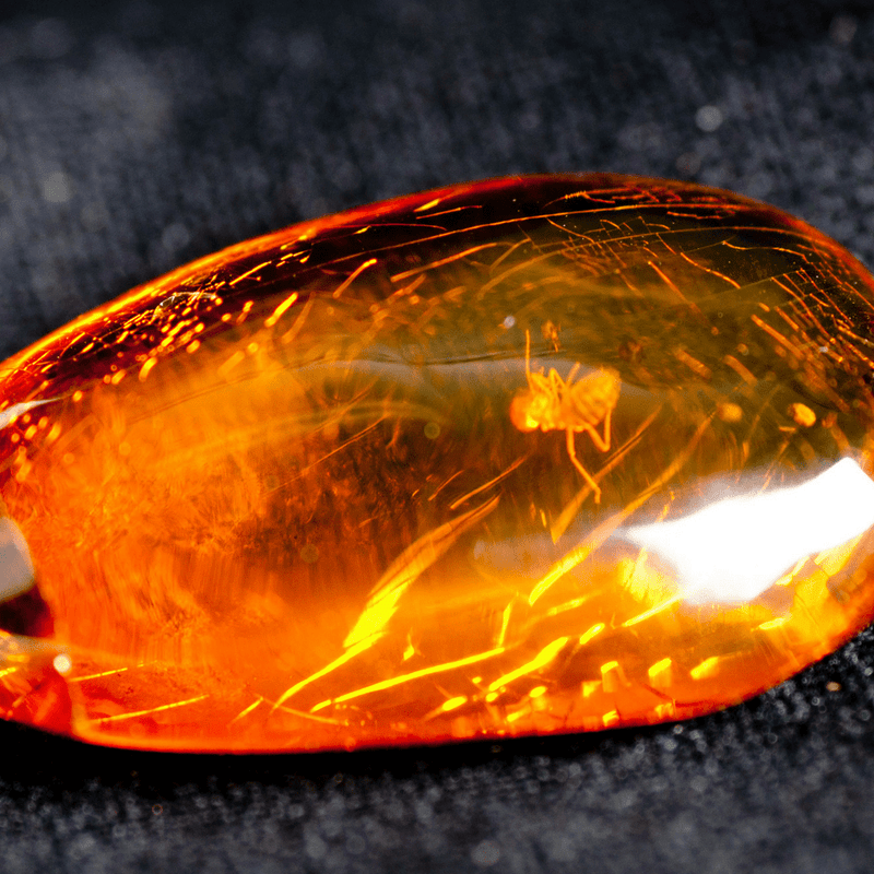 Real amber pendant discount