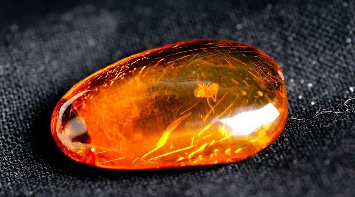 A Buying Guide For Amber Pendants