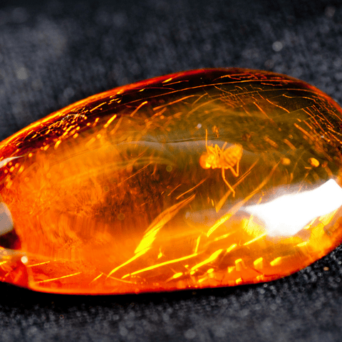 A Buying Guide For Amber Pendants