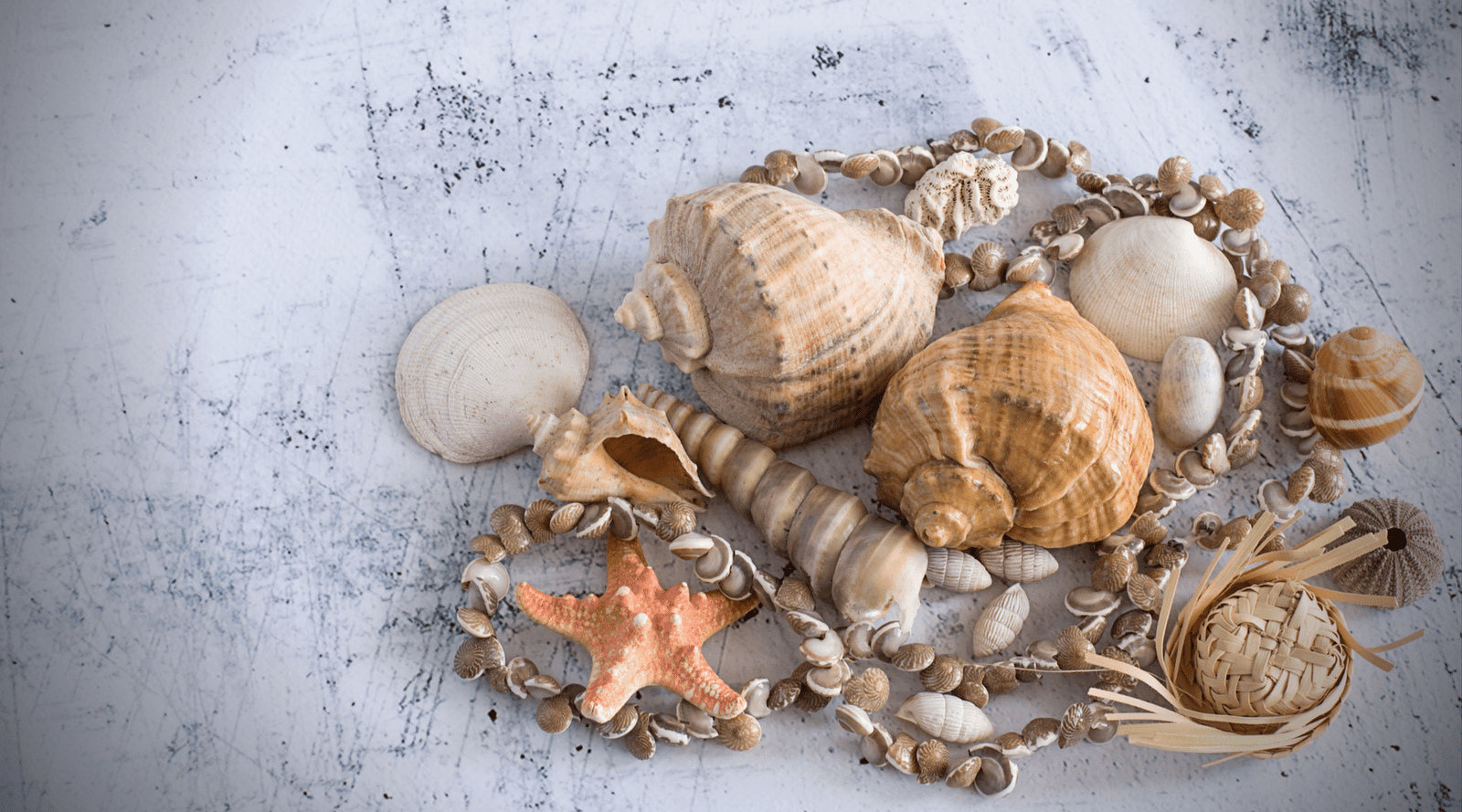 Jewelry made 2025 from seashells
