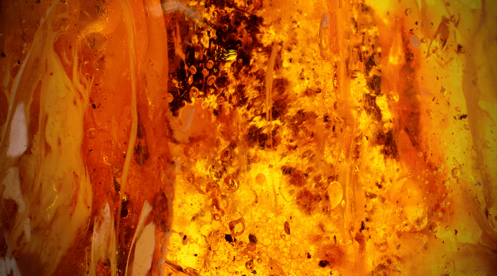 Amber Symbolism: What Does the Gemstone Represent?