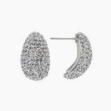Crystal Collection Earrings Color / Clear Curved Swarovski Crystal Earrings