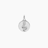 Crystal Collection Pendants Roma Serpent Medallion (Silver)