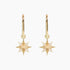 Crystal Collection Earrings Gold Shining Star Earring