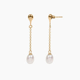 Masami Pearls Earrings Gold Freshwater Pearl Drop Earrings (Gold)