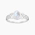 Moonstone Collection Rings 6 Rainbow Moonstone Celtic Ring