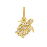 Roma Charm Collection Pendants Gold Roma Turtle CZ Charm (Gold)
