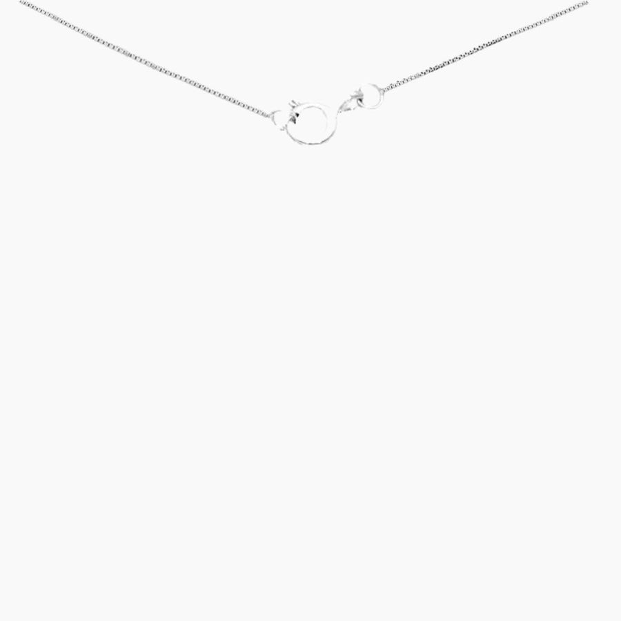 Roma Designer Jewelry (RDJ, LLC) Necklaces Sterling Silver Paw Pendant Necklace